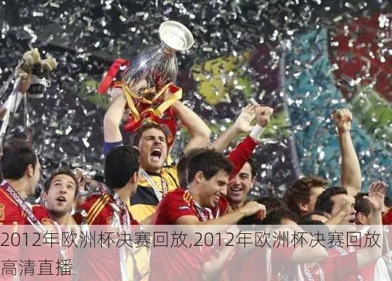 2012年欧洲杯回放 2012欧洲杯回顾-第2张图片-www.211178.com_果博福布斯