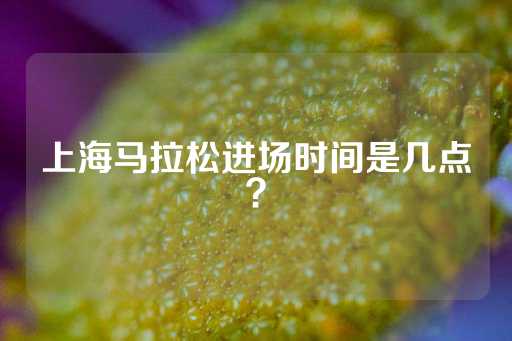 上海马拉松进场时间是几点？