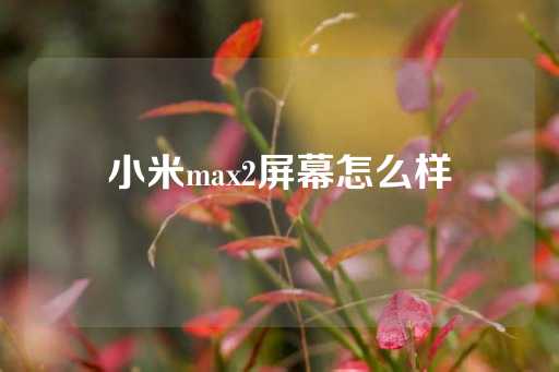 小米max2屏幕怎么样